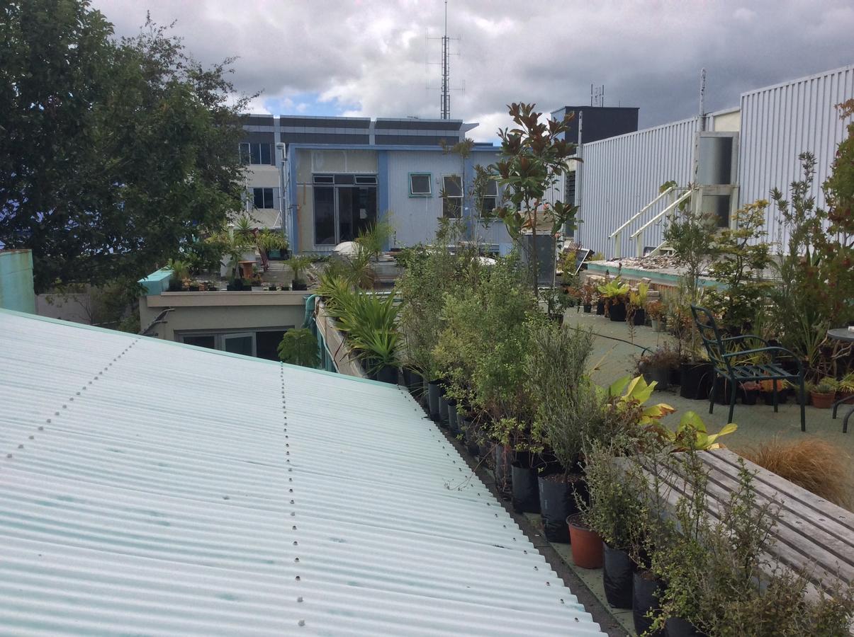 The Cell Block Backpackers Vandrarhem Whangarei Exteriör bild